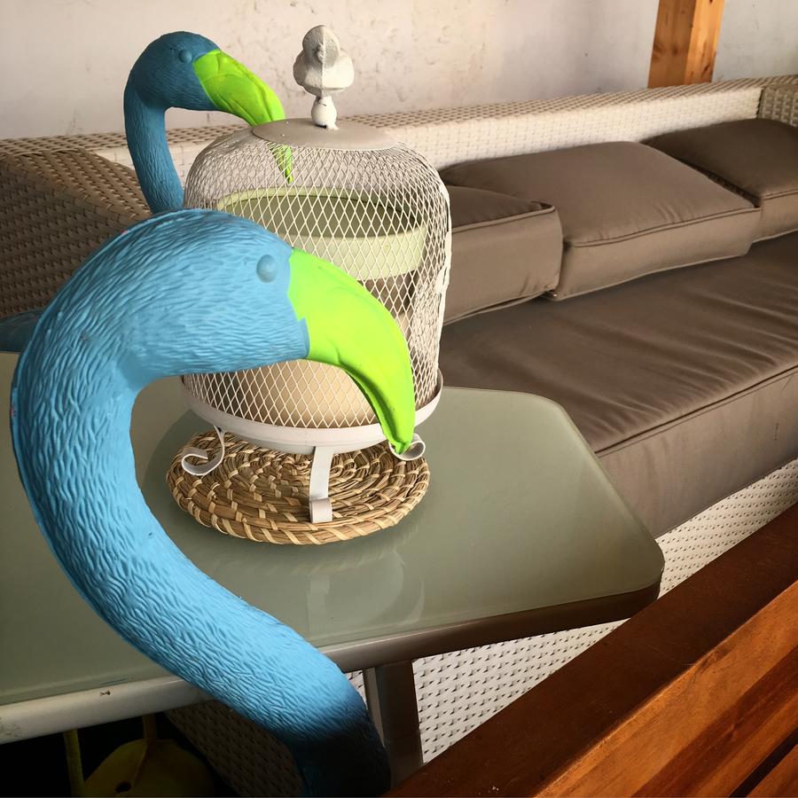Cocos Surfhouse Hostel La Arena Εξωτερικό φωτογραφία